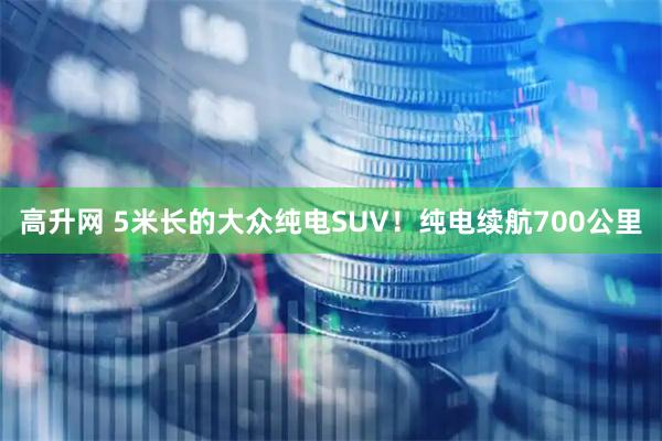 高升网 5米长的大众纯电SUV！纯电续航700公里