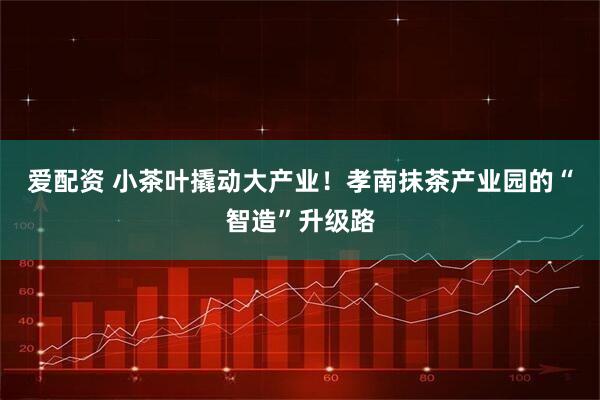 爱配资 小茶叶撬动大产业！孝南抹茶产业园的“智造”升级路