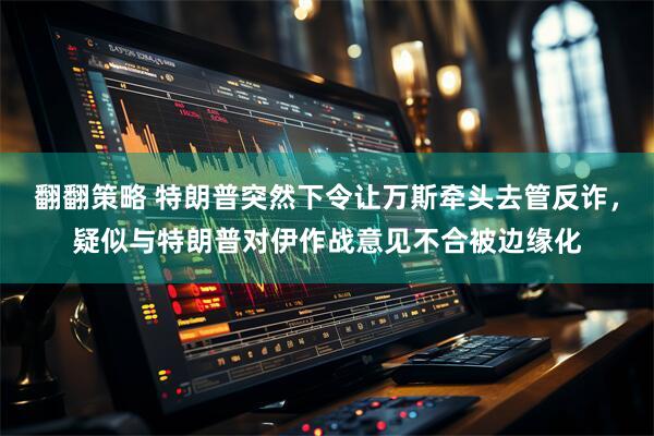 翻翻策略 特朗普突然下令让万斯牵头去管反诈，疑似与特朗普对伊作战意见不合被边缘化