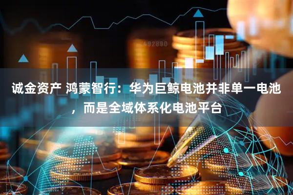 诚金资产 鸿蒙智行：华为巨鲸电池并非单一电池，而是全域体系化电池平台